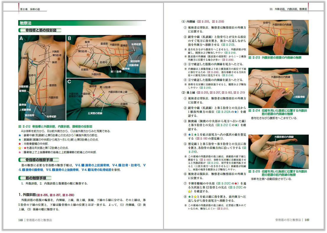 骨格筋の形と触察法 :20221113003112-01456us:川辺堂古書店 - 通販